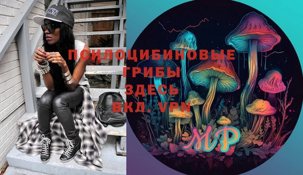 винт Нея