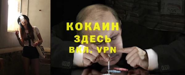 винт Нея