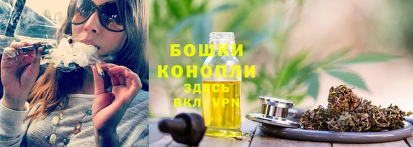 гидра Нефтегорск