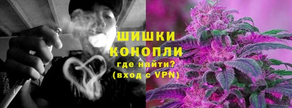 винт Нея