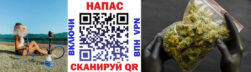 Конопля OG Kush  Починок 